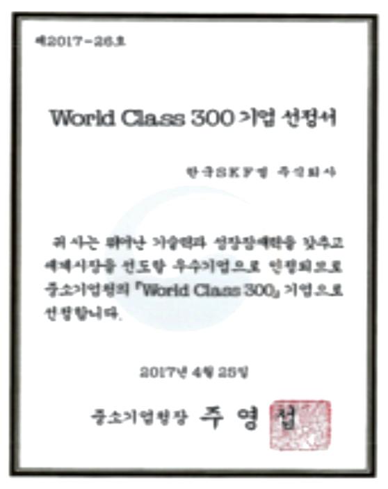 Corporate-selection-certificate-world-class-300.jpg