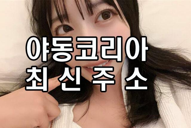 야동코리아.jpg